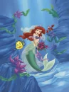 Ariel