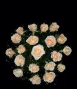 Flowers.