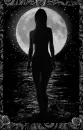 Lady Moon