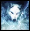 Spirit wolf