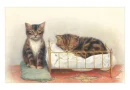 kitties
