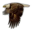 Eagle