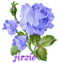 Jirzie
