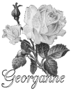 Georganne