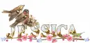 Jessica w/ Birds...
