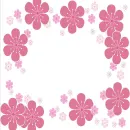 cute flower pink