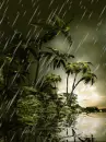 animated rain