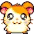 Hamtaro