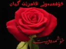 Hasret gUll