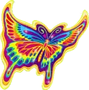 Psychedelic Buttefly