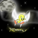 tweety bird in the night sky