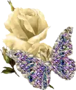 White Rose and Butterfly