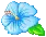 Little Flower