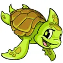 Shoyru Baby