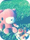 Gloomy Bear Photography