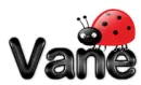 Vane ladybug
