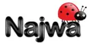Najwa ladybug