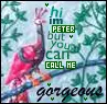 Peacock