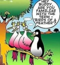 birds of a feather