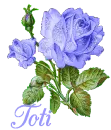 Toti