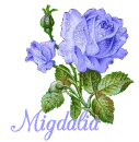 Migdalia