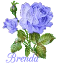 Brenda