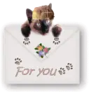 For you kitty mail