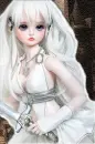 Dream of Doll
