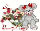 creddy