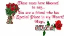 Roses for you friend-Gilda