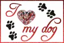 I love my dog