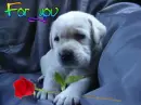 for you