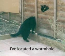 I've located a wormhole
