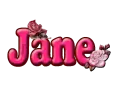 Rose & Bud: Jane