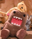 Domo&Teddy