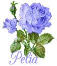 Pelia