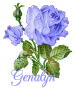 Genalyn