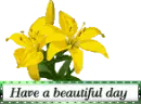 Beautiful Day