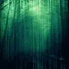 Forks rain