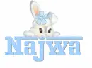 rabbit-Najwa