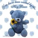 The Hug Bear