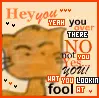 Fool