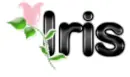 iris flower mrsclean987