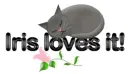 iris loves it kitty flower