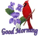Good Morning