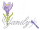 dragonfly flower yanily