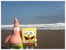 Spongebob & Patrick