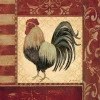 rooster