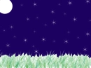 night