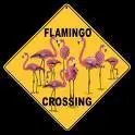 pink flamingo